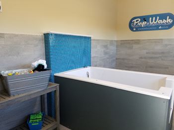 Pet spa bathing station